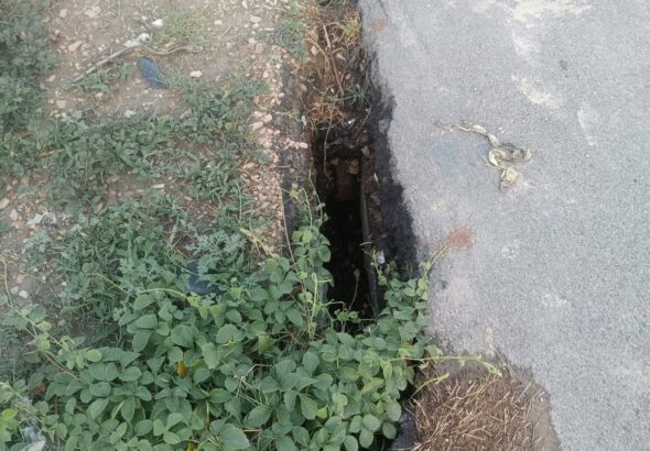IMG-20260614-WA0002